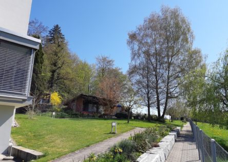 Grüneck Garten
